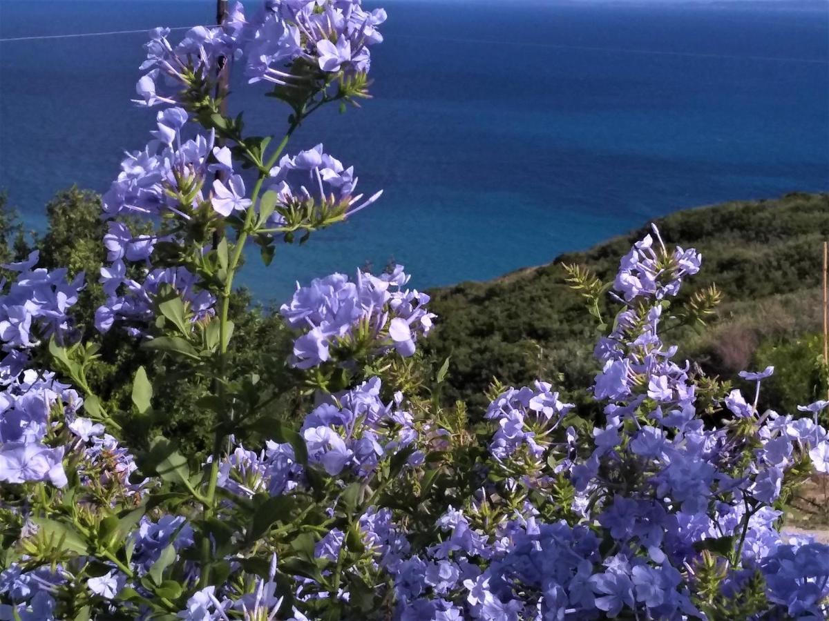 Vila Kaminia Blu Ratzaklíon Exteriér fotografie